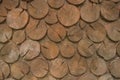 Surface of sliced Ã¢â¬â¹Ã¢â¬â¹wood circles